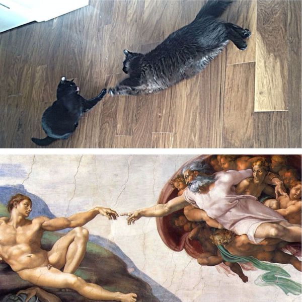 Morning Picdump