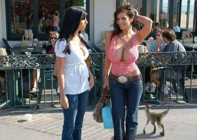 grownup corner 47 pics 7 gifs 5 videos 1.html - 47 HD Video | Premium Gallery 2014