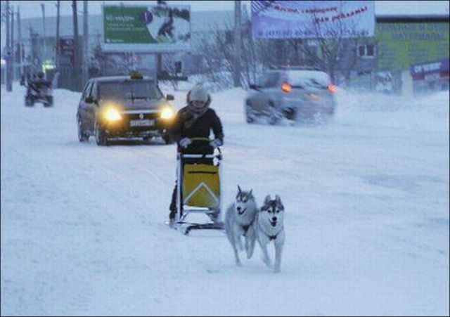 morning picdump 58 pics 14.html - 58 HD Photos | Premium Gallery 2014