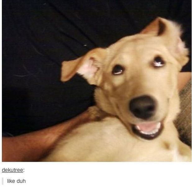 morning picdump 58 pics 14.html - 58 HD Photos | Premium Gallery 2014