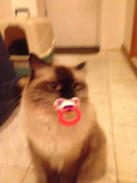 morning picdump 58 pics 14.html - 58 HD Photos | Premium Gallery 2014