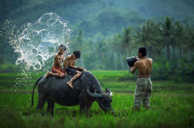 morning picdump 58 pics 14.html - 58 HD Photos | Premium Gallery 2014