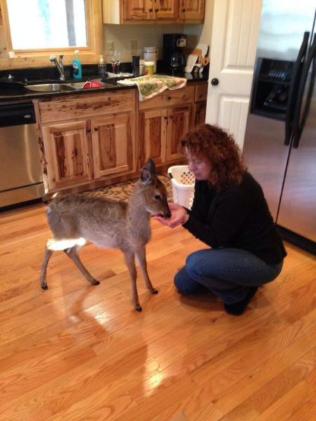 morning picdump 58 pics 14.html - 58 HD Photos | Premium Gallery 2014