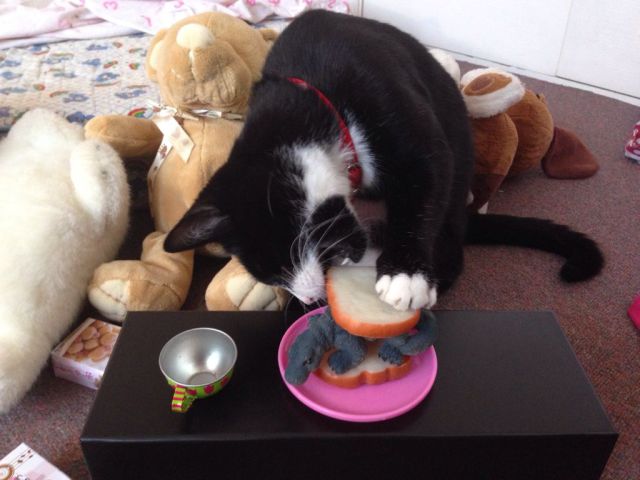 morning picdump 58 pics 14.html - 58 HD Photos | Premium Gallery 2014