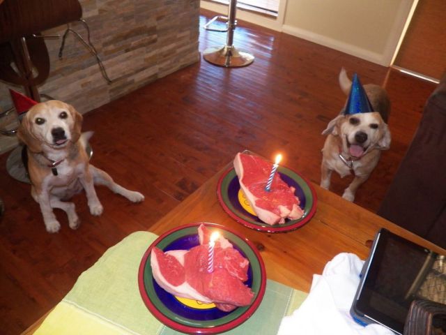 morning picdump 55 pics 8.html - 55 HD Photos | Premium Gallery 2014