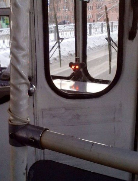 morning picdump 55 pics 8.html - 55 HD Photos | Premium Gallery 2014