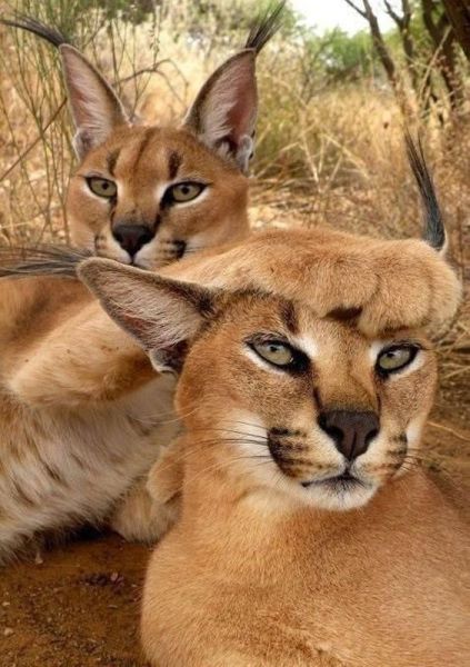 morning picdump 55 pics 8.html - 55 HD Photos | Premium Gallery 2014