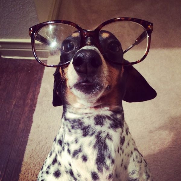 morning picdump 55 pics 8.html - 55 HD Photos | Premium Gallery 2014