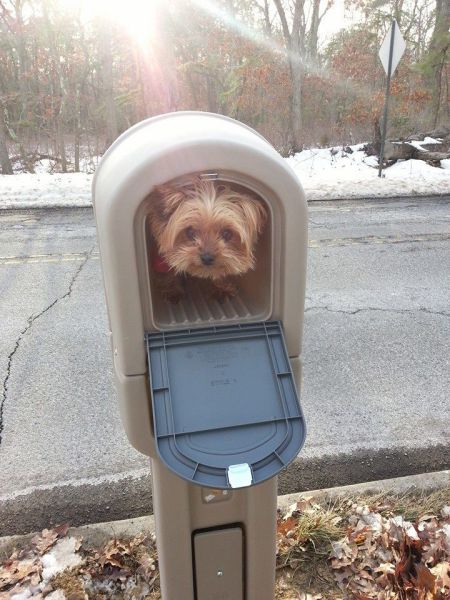 morning picdump 53 pics 21.html - 53 HD Photos | Premium Gallery 2014