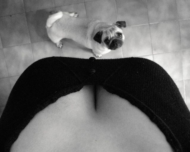 grownup corner 53 pics 5 gifs 3.html - 53 HD GIF | Premium Gallery 2014