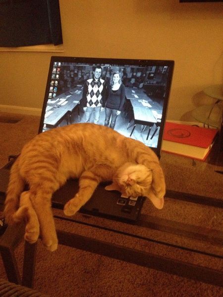 morning picdump 56 pics 1.html - 56 HD Photos | Premium Gallery 2014