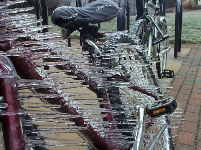 morning picdump 56 pics 1.html - 56 HD Photos | Premium Gallery 2014