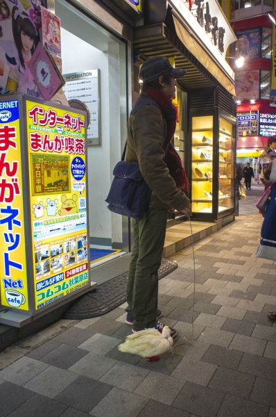 morning picdump 56 pics 1.html - 56 HD Photos | Premium Gallery 2014