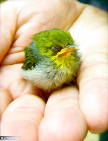 morning picdump 56 pics 1.html - 56 HD Photos | Premium Gallery 2014