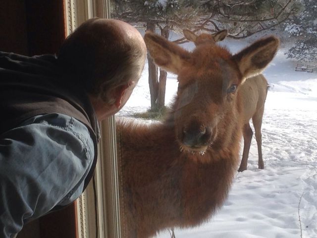 morning picdump 56 pics 1.html - 56 HD Photos | Premium Gallery 2014