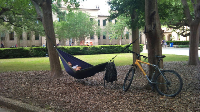 Don’t Just Do Things, Do Things Right!