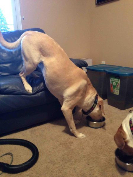 morning picdump 57 pics 6.html - 57 HD Photos | Premium Gallery 2014