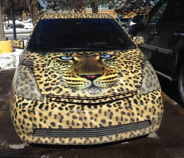 morning picdump 57 pics 6.html - 57 HD Photos | Premium Gallery 2014