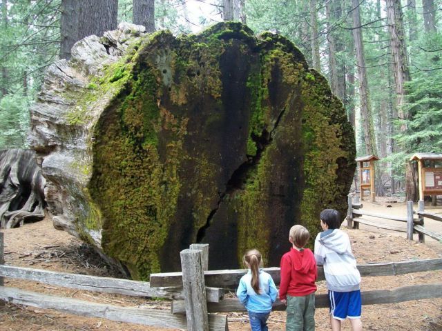 morning picdump 57 pics 6.html - 57 HD Photos | Premium Gallery 2014