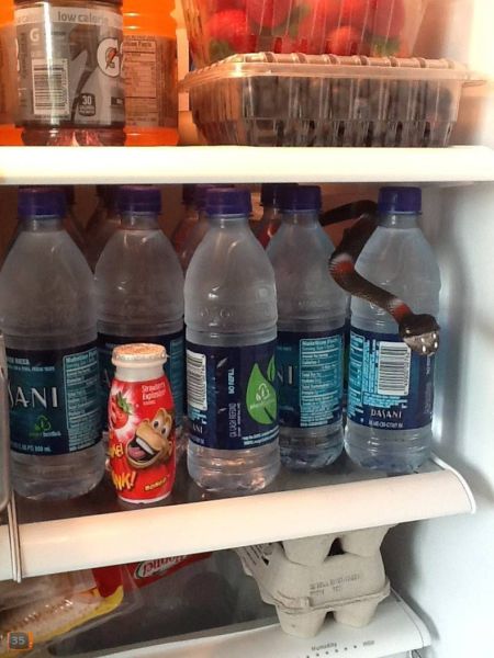 morning picdump 53 pics 1.html - 53 HD Photos | Premium Gallery 2014