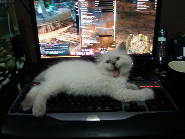 morning picdump 53 pics 1.html - 53 HD Photos | Premium Gallery 2014