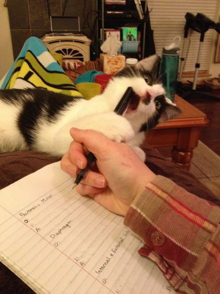 morning picdump 53 pics 1.html - 53 HD Photos | Premium Gallery 2014