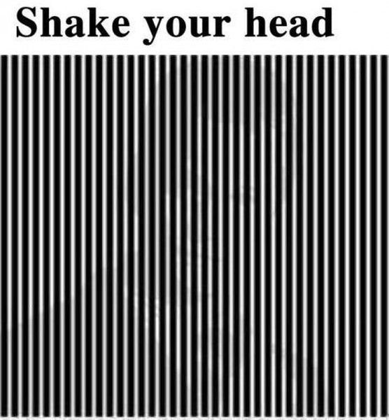 morning picdump 53 pics 1.html - 53 HD Photos | Premium Gallery 2014