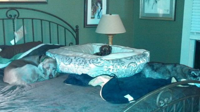 morning picdump 53 pics 1.html - 53 HD Photos | Premium Gallery 2014