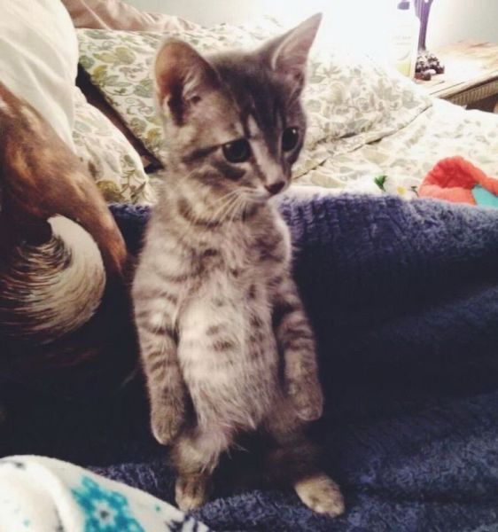 morning picdump 53 pics 1.html - 53 HD Photos | Premium Gallery 2014