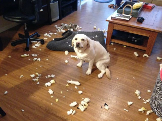 morning picdump 53 pics 24.html - 53 HD Photos | Premium Gallery 2014