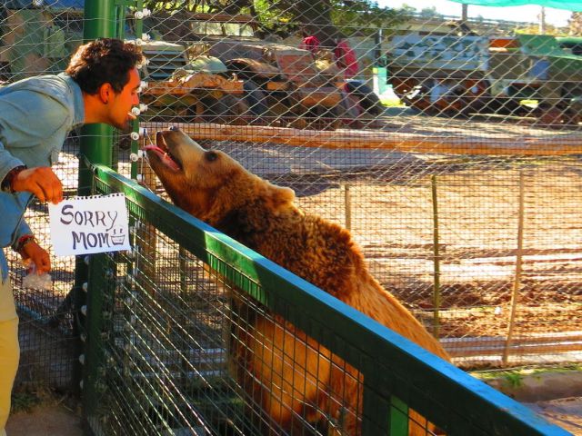 morning picdump 52 pics 1.html - 52 HD Photos | Premium Gallery 2014