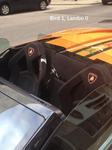 morning picdump 52 pics 1.html - 52 HD Photos | Premium Gallery 2014