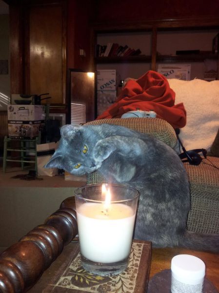 morning picdump 52 pics 1.html - 52 HD Photos | Premium Gallery 2014