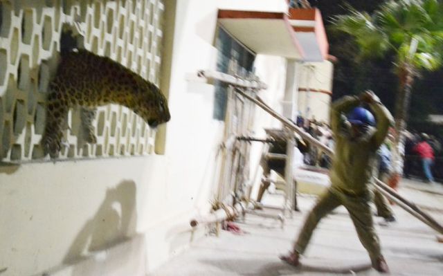 daily picdump 96 pics 39.html - 96 HD Photos | Premium Gallery 2014