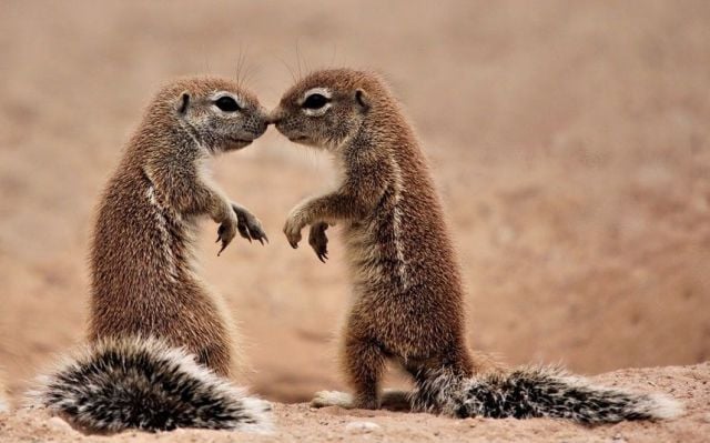 daily picdump 96 pics 39.html - 96 HD Photos | Premium Gallery 2014