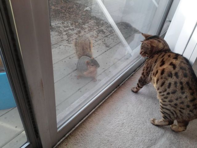 morning picdump 53 pics 10.html - 53 HD Photos | Premium Gallery 2014