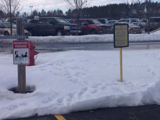 morning picdump 53 pics 10.html - 53 HD Photos | Premium Gallery 2014