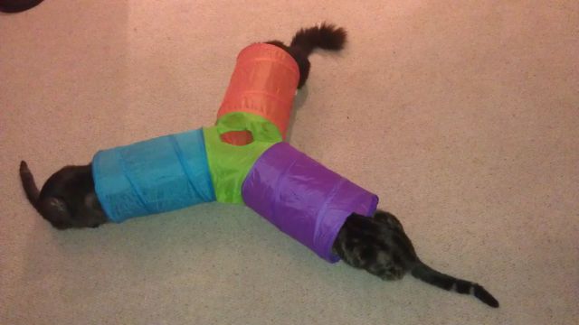 morning picdump 53 pics 10.html - 53 HD Photos | Premium Gallery 2014