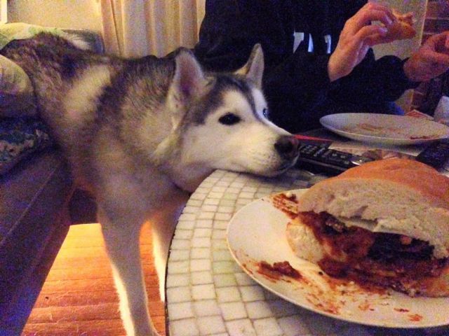 morning picdump 53 pics 10.html - 53 HD Photos | Premium Gallery 2014