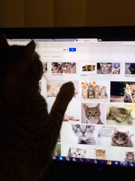 morning picdump 53 pics 10.html - 53 HD Photos | Premium Gallery 2014