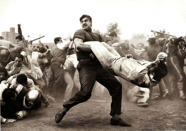 morning picdump 53 pics 10.html - 53 HD Photos | Premium Gallery 2014