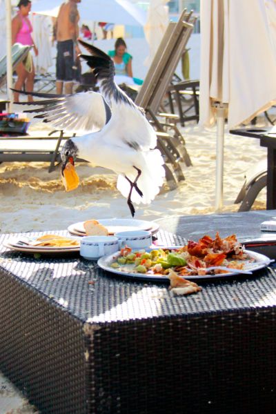 morning picdump 53 pics 10.html - 53 HD Photos | Premium Gallery 2014