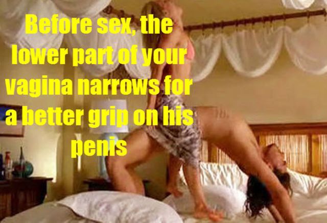 Simple and Scientific Facts about Sex