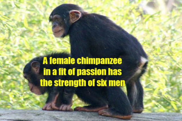 Simple and Scientific Facts about Sex