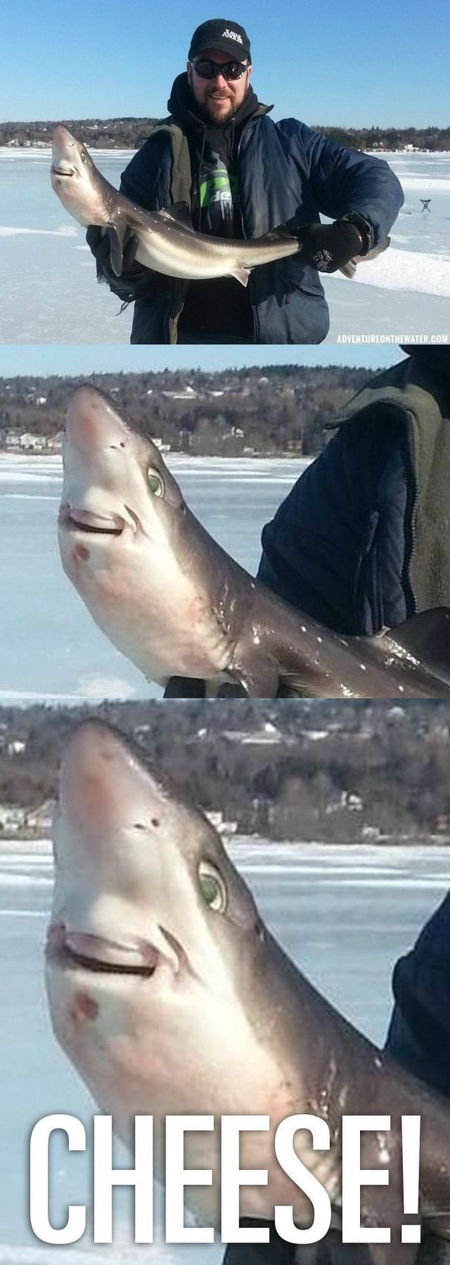 funny picdump 53 pics 2.html - 53 HD Photos | Premium Gallery 2014