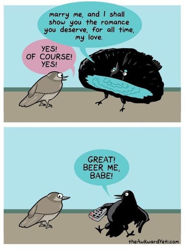 funny picdump 53 pics 2.html - 53 HD Photos | Premium Gallery 2014
