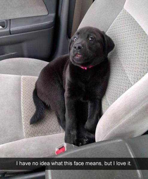 Morning Picdump
