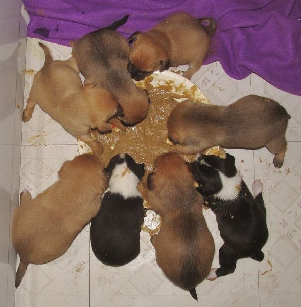 morning picdump 51 pics 2.html - 51 HD Photos | Premium Gallery 2014