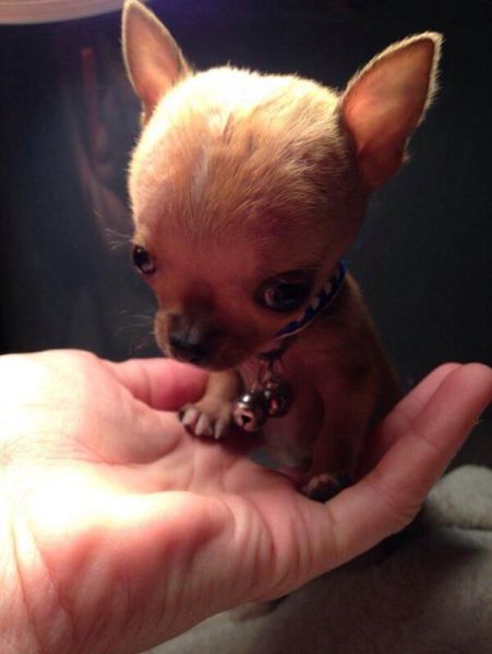 morning picdump 51 pics 2.html - 51 HD Photos | Premium Gallery 2014