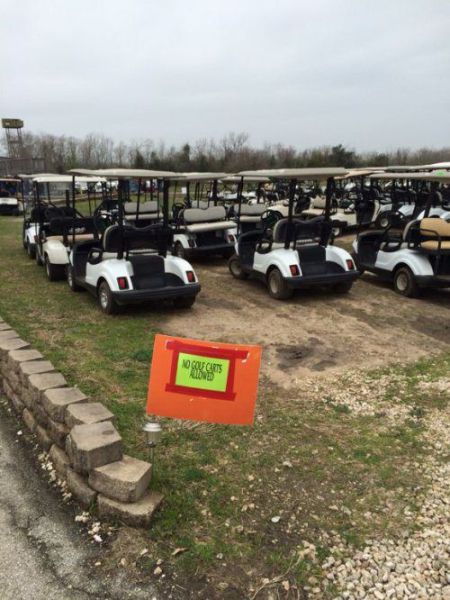 morning picdump 51 pics 2.html - 51 HD Photos | Premium Gallery 2014